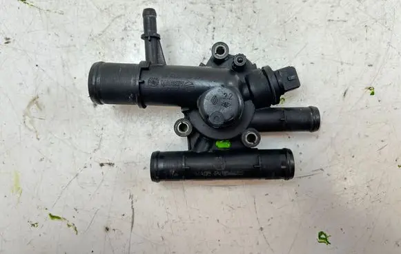 Thermostat/thermostat housing
