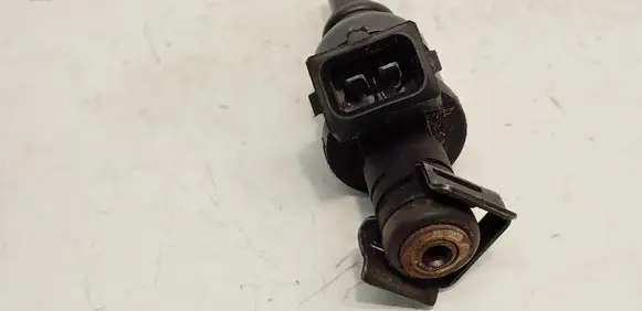 BMW 5 E39 Fuel injector 1427240