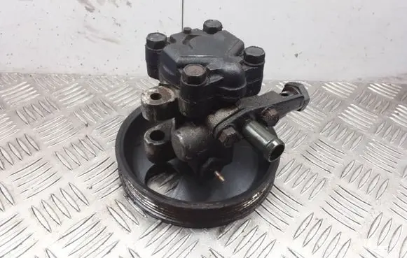 Hyundai Santa Fe Power steering pump