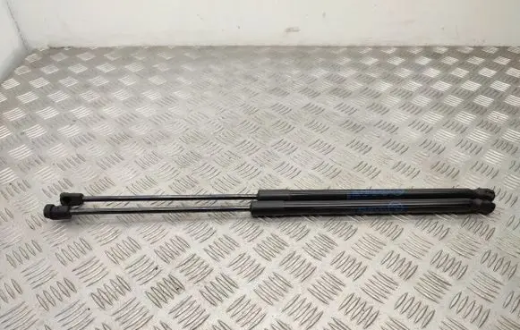 Ford Fiesta Tailgate/trunk strut/damper H1BBA406A10AH