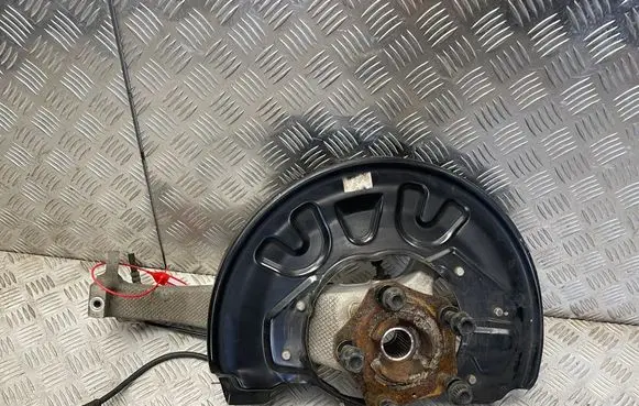 Porsche Taycan 9J1 Rear wheel hub 9J0407245
