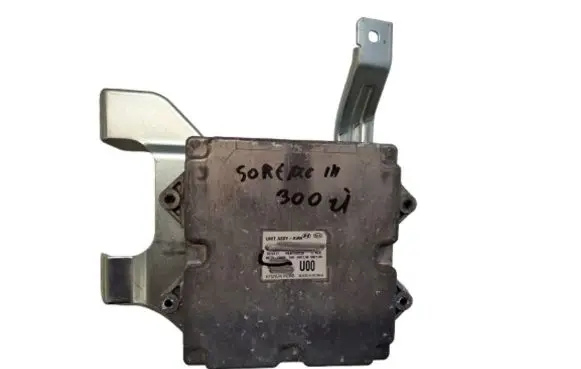 KIA Sorento Other control units/modules 95770C5000