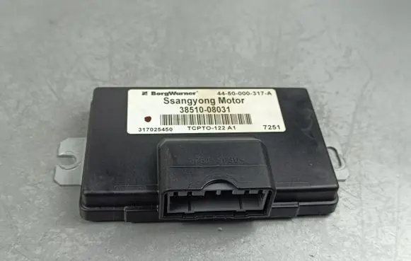 SsangYong Rexton Other control units/modules 3851008031