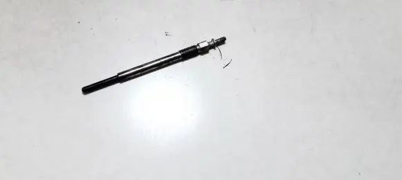 Ford Focus Glow plug 0100276004