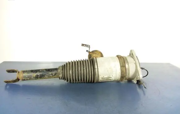 Audi A8 S8 D3 4E Rear shock absorber/damper 4E0616002H