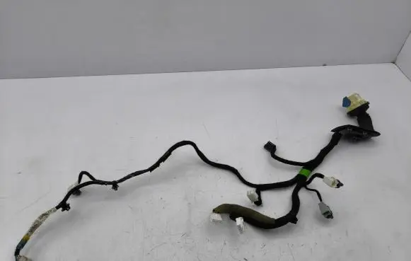 Front door wiring loom