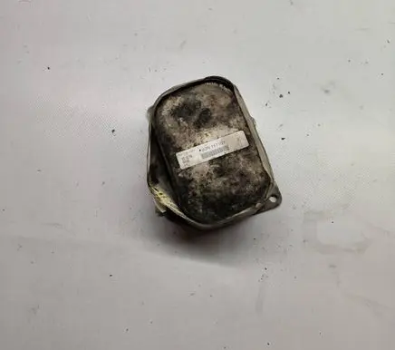 Skoda Yeti (5L) Oil filter mounting bracket 03N117021