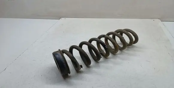Rear coil spring