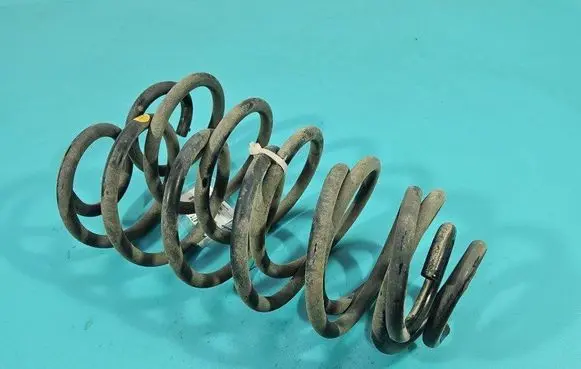Rear coil spring