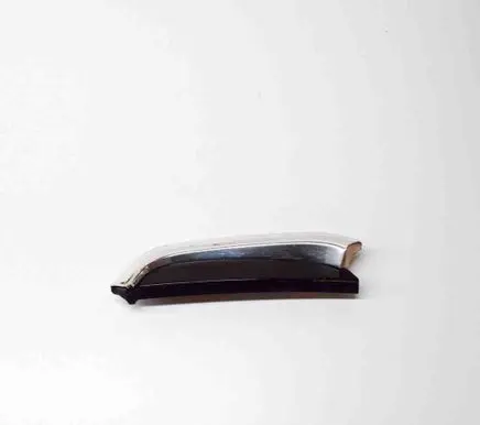 Rear door trim (molding)