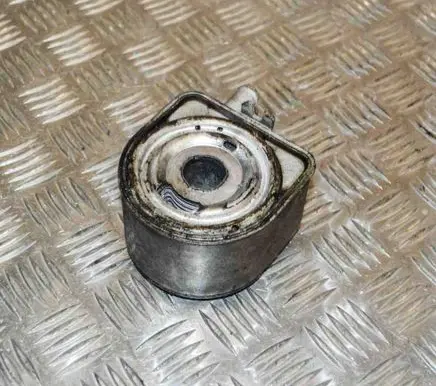 Peugeot Expert Engine oil radiator 9650863380