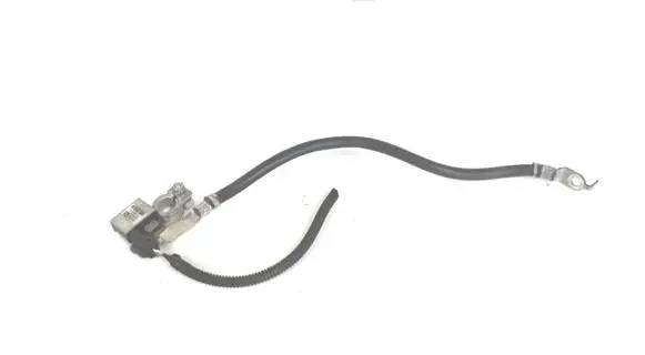 Ford C-MAX II Positive wiring loom F1FT10C679BA