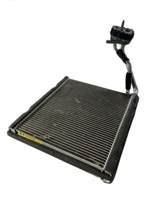 Ford Explorer VI Air conditioning (A/C) radiator (interior) L1MH19D710BC