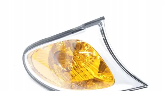 BMW 3 E46 Front indicator light 7165852