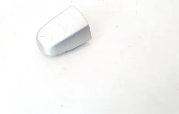 Toyota RAV 4 (XA30) Loading door cover/cap 