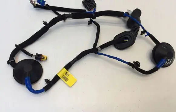 Hyundai Ioniq Rear door wiring loom 91660G2391