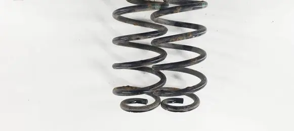 Suzuki Kizashi Rear coil spring 