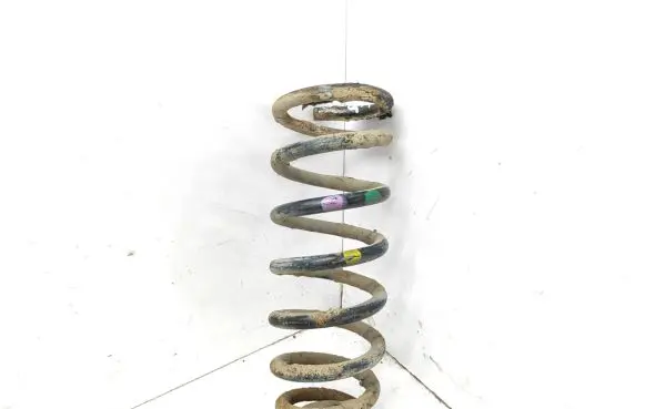 Hyundai Sonata Rear coil spring