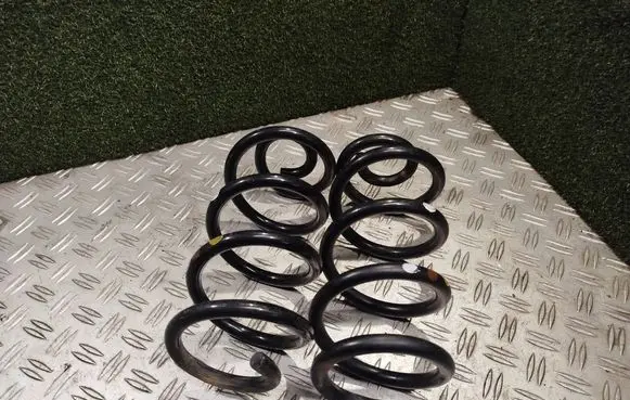 Renault Arkana Rear coil spring