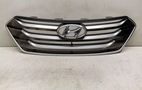 Front bumper upper radiator grill
