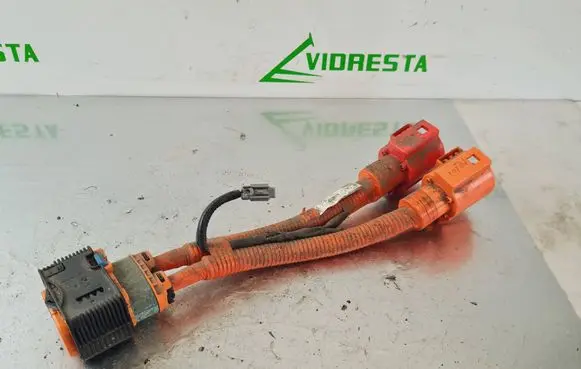 Other wiring loom