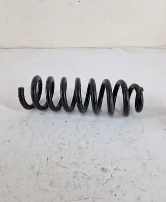 Rear coil spring