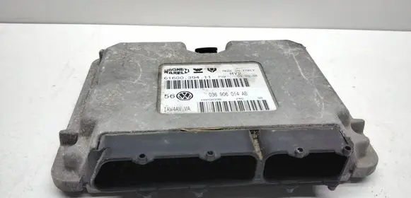 Volkswagen Golf IV Engine control unit/module 036906014AB 6160039411