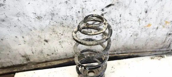 Opel Zafira A Rear coil spring 