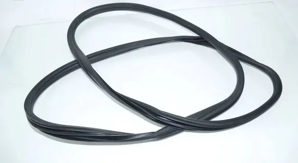 BMW X5 E70 Front door rubber seal 7220381 51767220381
