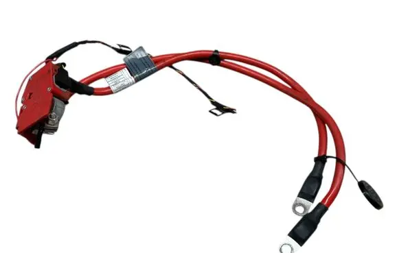 BMW 1 F20 F21 Positive cable (battery) 9230017 923001704 10057310