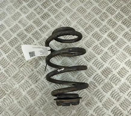 Nissan Leaf II (ZE1) Rear coil spring 550205SJ1B