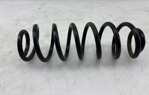 Rear coil spring