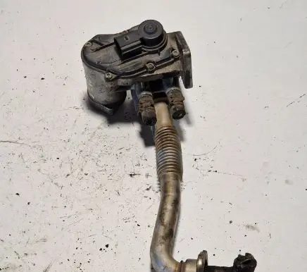 EGR valve