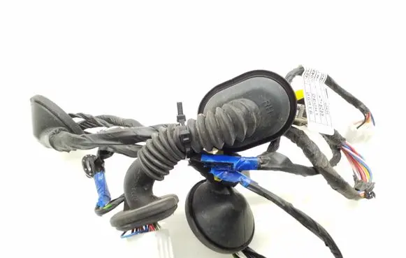 KIA Ceed Rear door wiring loom 916501H030