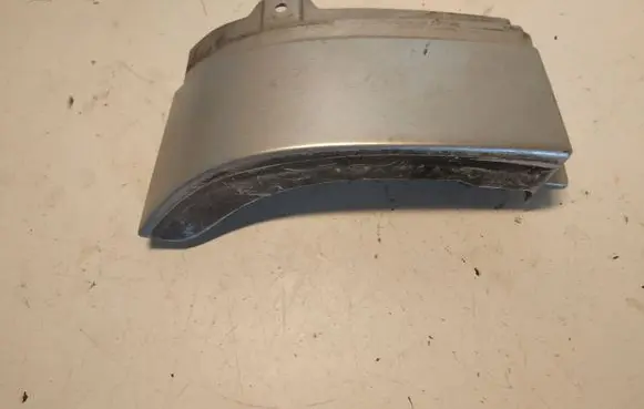 Rear/tail light trim molding