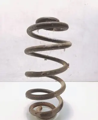 Rear coil spring