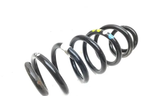 Rear coil spring