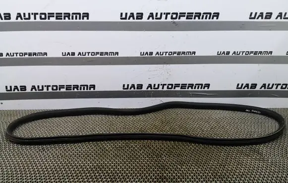Renault Clio IV Rear door rubber seal (on body) 