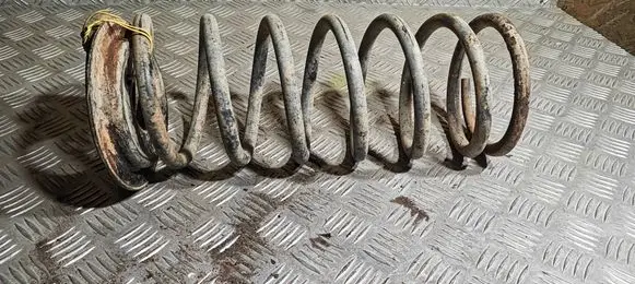 Land Rover Discovery Front coil spring
