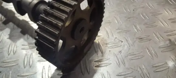 Camshaft pulley/ VANOS