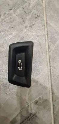 Tailgate opening switch