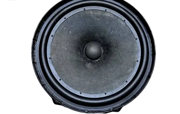 Volkswagen Eos Front door speaker 1Q0035454