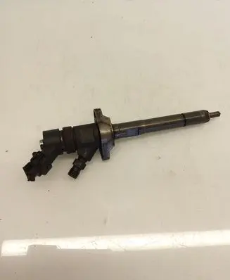 Citroen Berlingo Fuel injector 0445110239