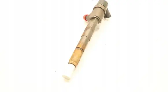 Fiat Freemont Fuel injector 0445110419