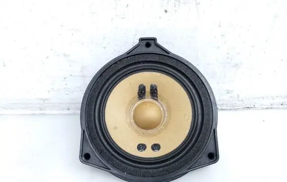 Panel speaker