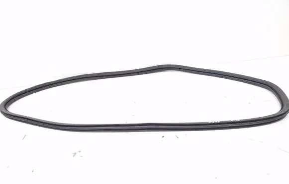 Opel Corsa F Rear door rubber seal (on body) 9829331980