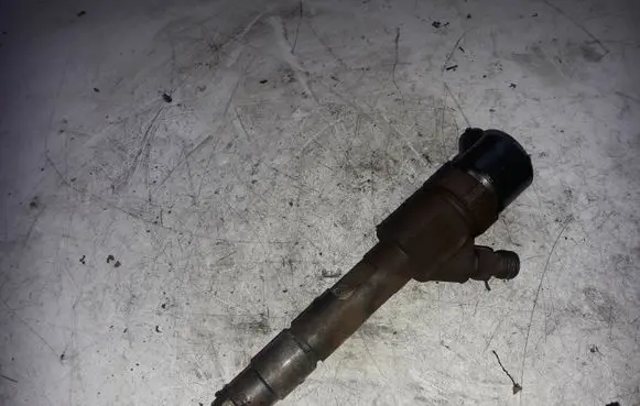 Volvo S40, V40 Fuel injector 0445110021