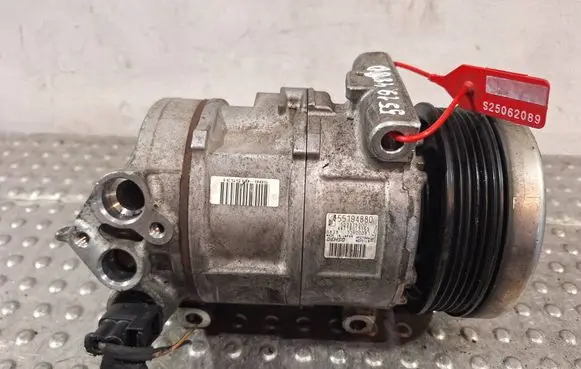 Fiat Punto Evo Air conditioning (A/C) compressor (pump) S25062089 55194880
