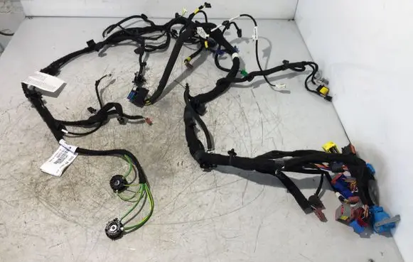 Peugeot Expert Panel wiring 10050265K0 6P364385 9817815280