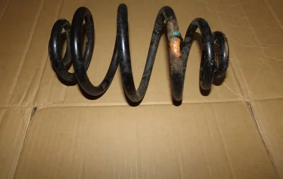 Volkswagen PASSAT B5 Rear coil spring